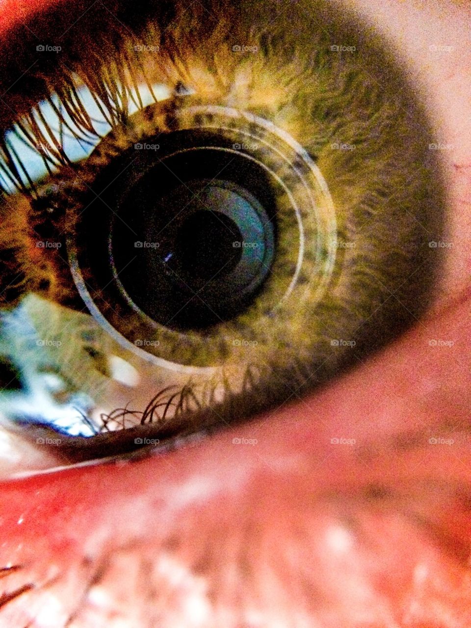 Macro eye