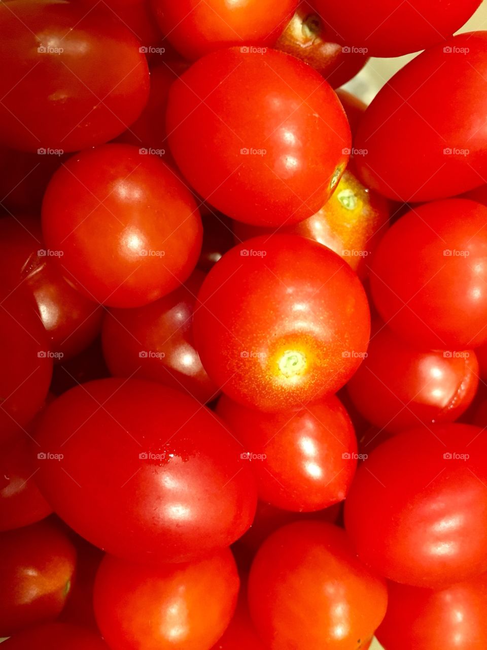 Fall Tomatoes