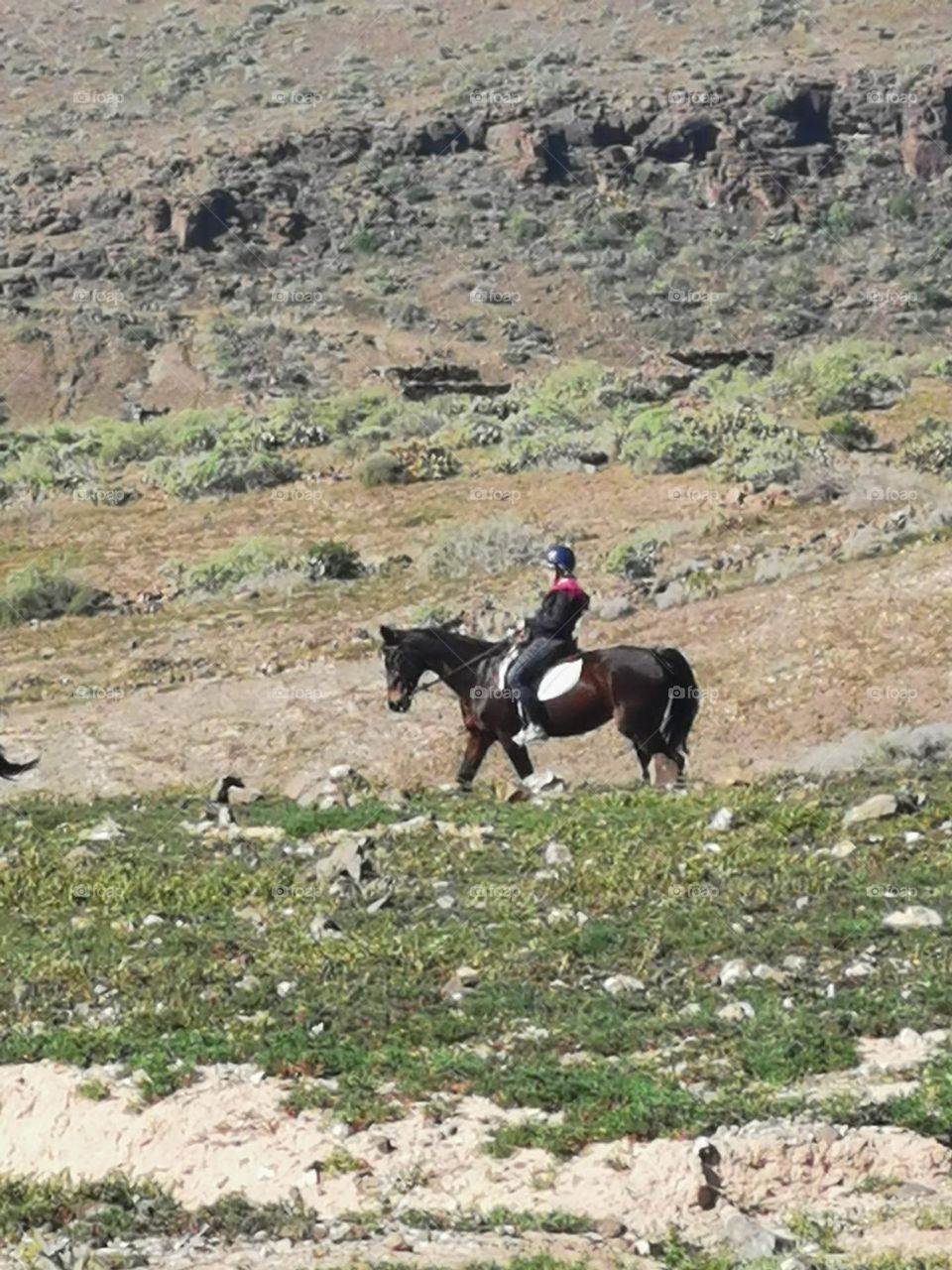 turista en caballo en gran canaria