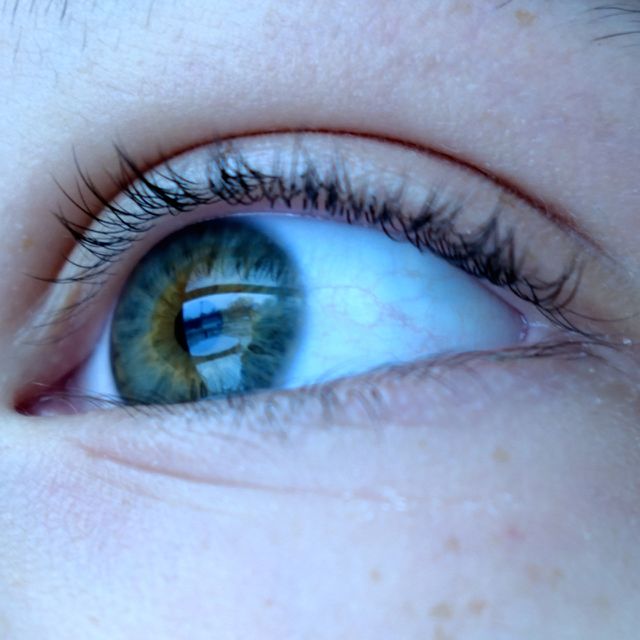 iris