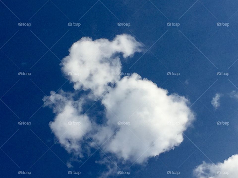 A fluffy white cloud in the blue sky that looks like a dog to me