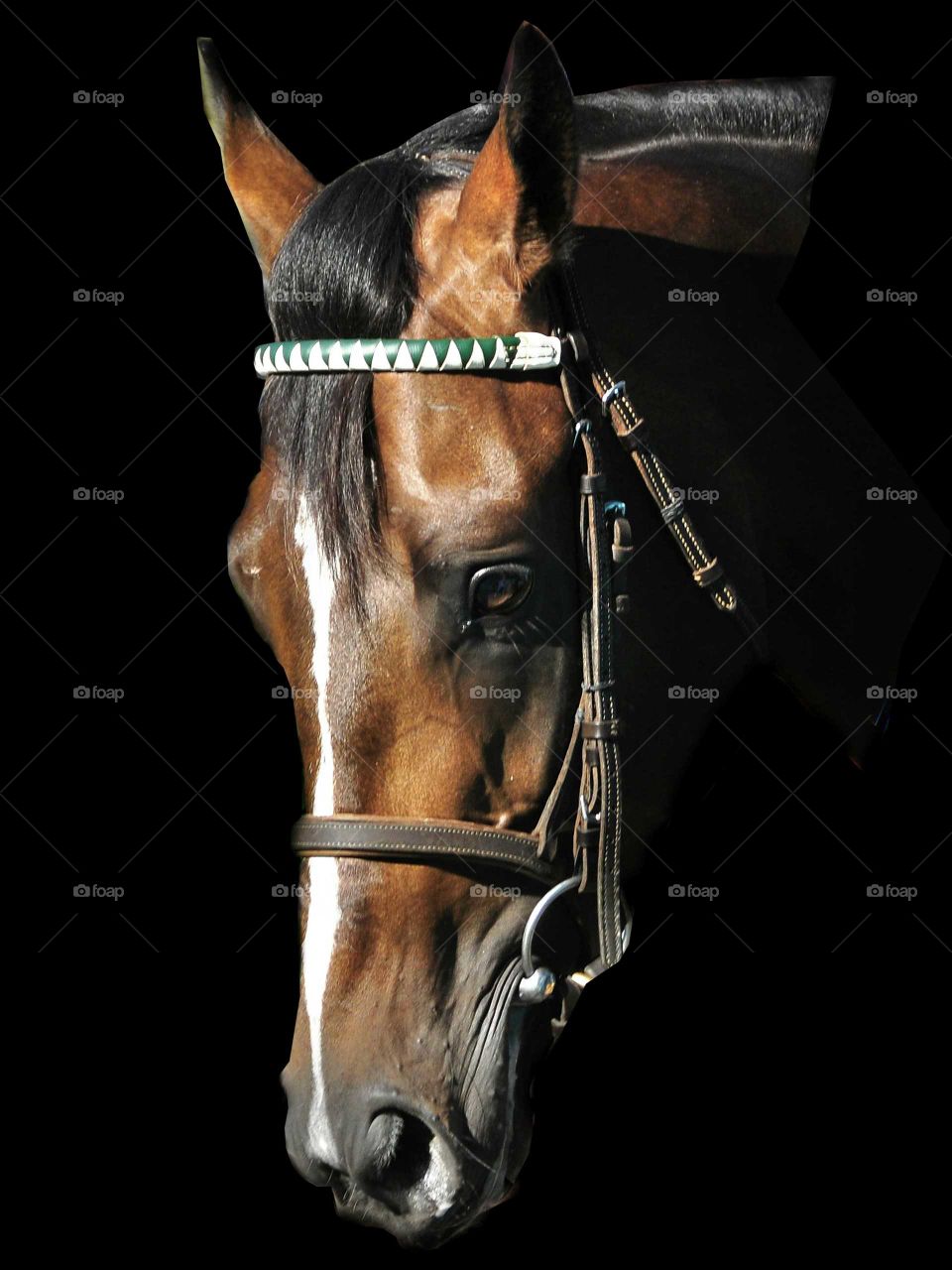 Good Samaritan by FLEETPHOTO