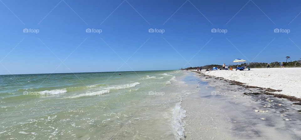 beach in florida