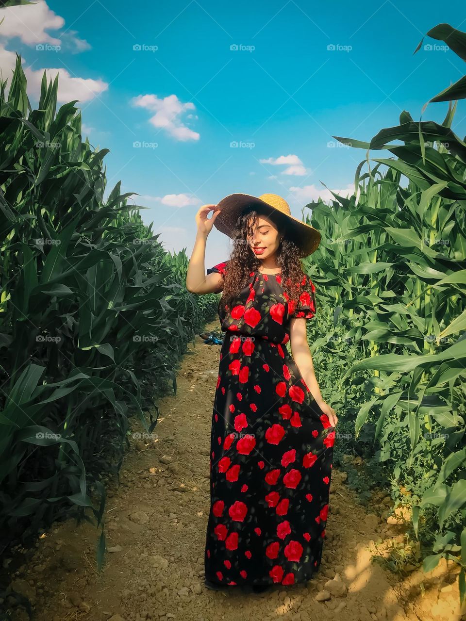 Curly haired girl in the corn field