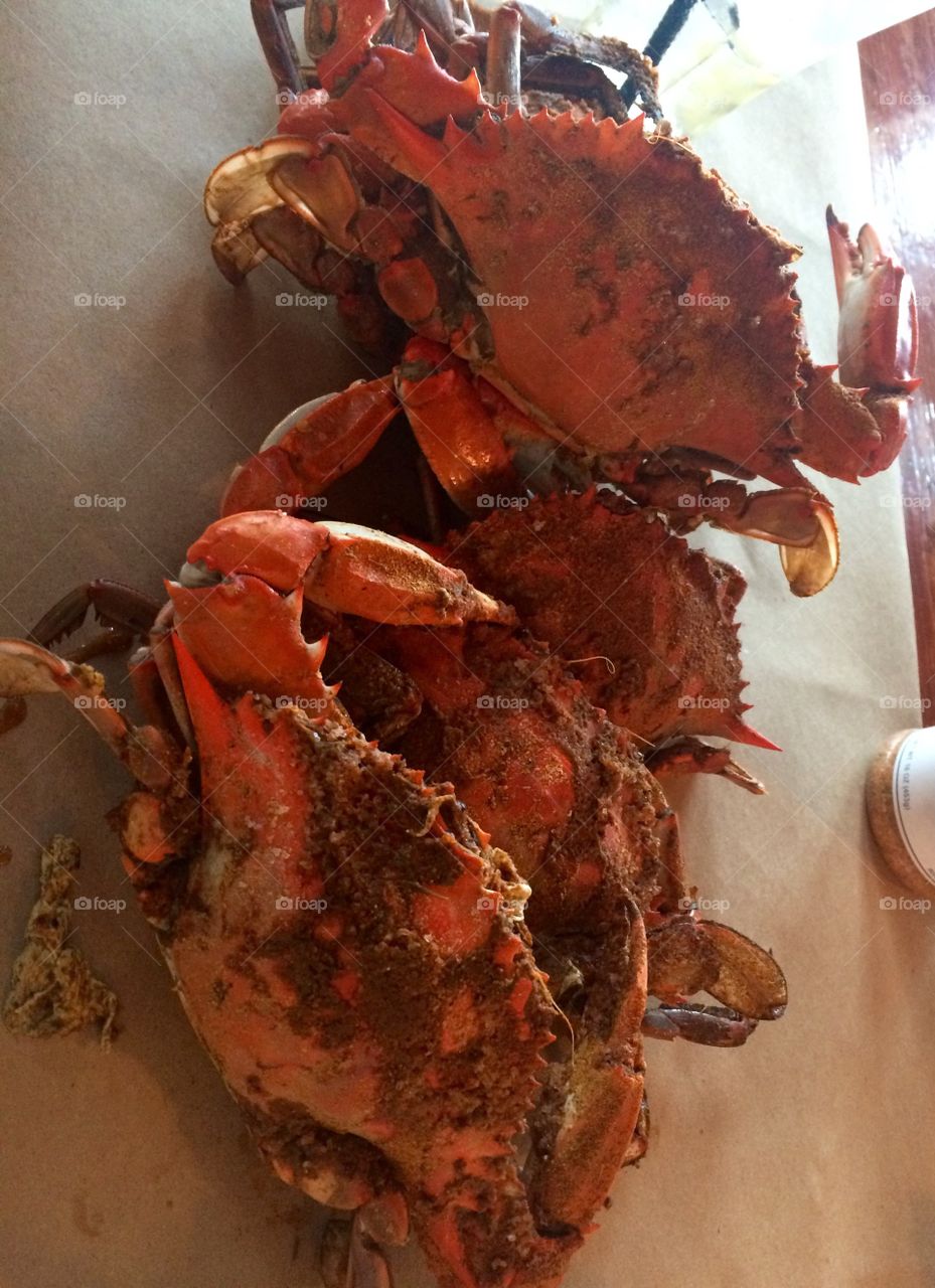 Steamed Maryland Crabs. Freshly steamed Maryland Crabs ready to eat