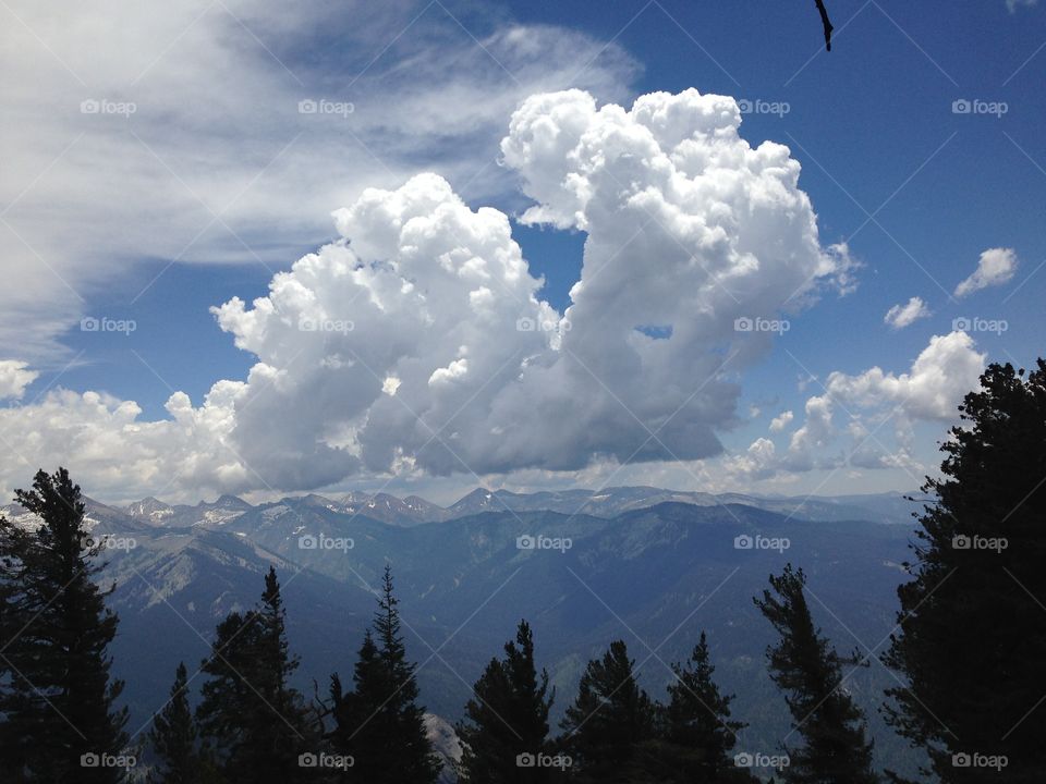 White, fluffy clouds. Cotton candy clouds