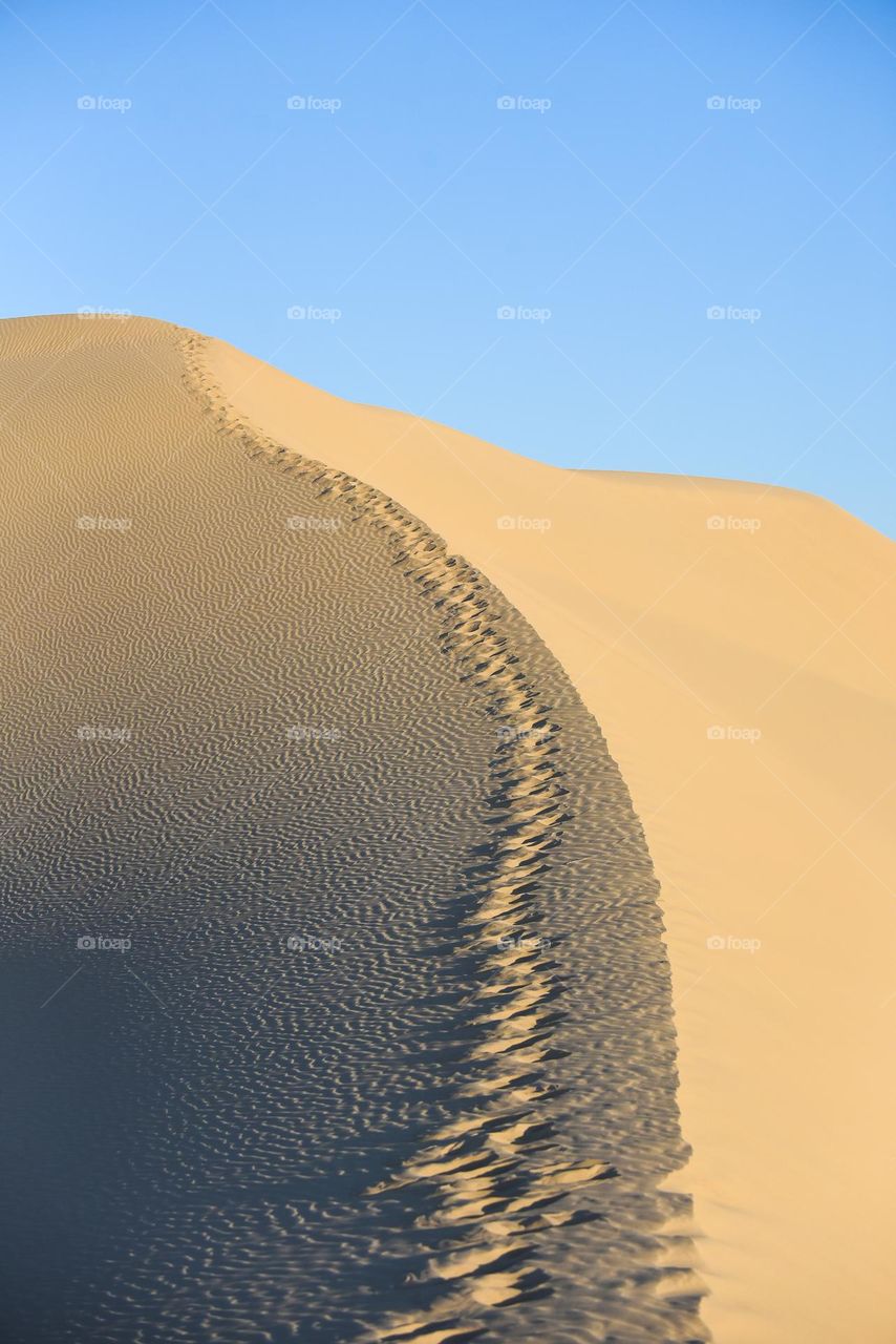 Footprints in the sand along the top of a ridge on a sand dune against a clear blue sky 