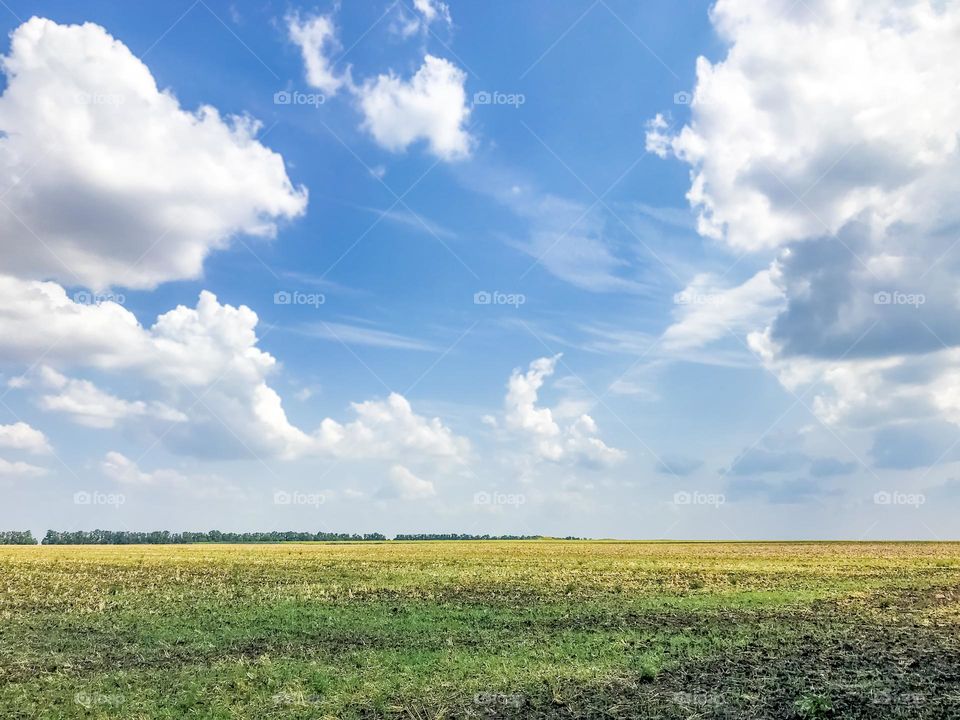 Beautiful view of the horizon in the field