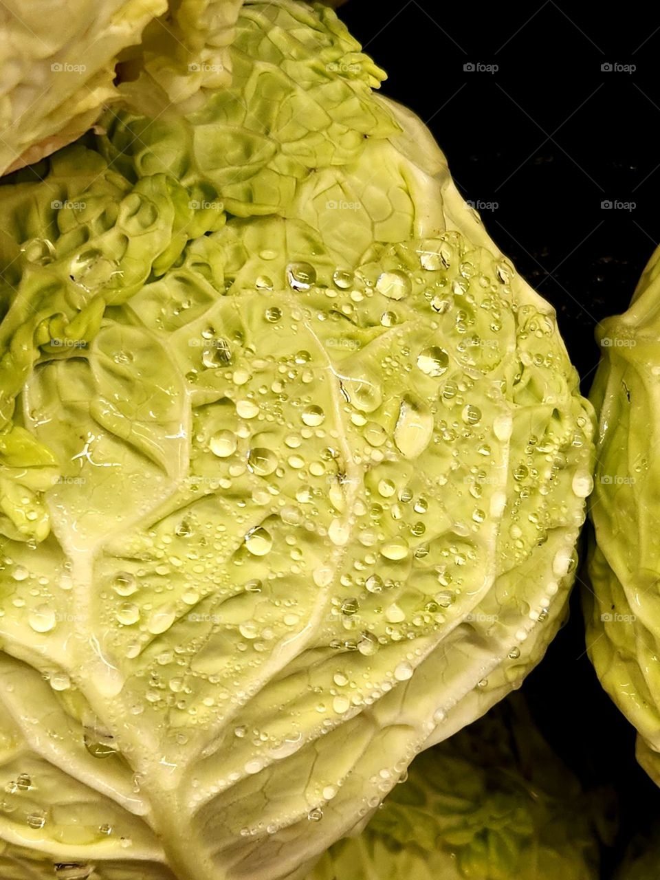 bright fresh green head of lettuce with water droplets for sale in an Oregon market