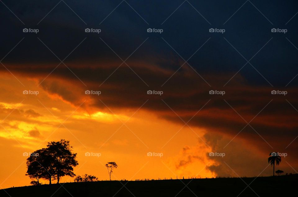 a tree on a Hill against the background of a beautiful sunset