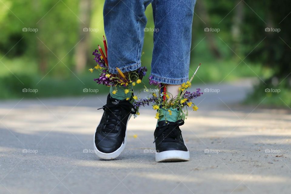 Battle: Winter vs Spring