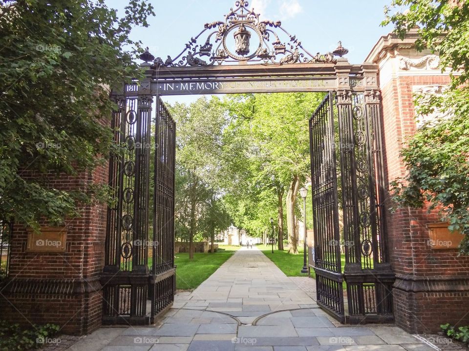 Calhoun courtyard gate