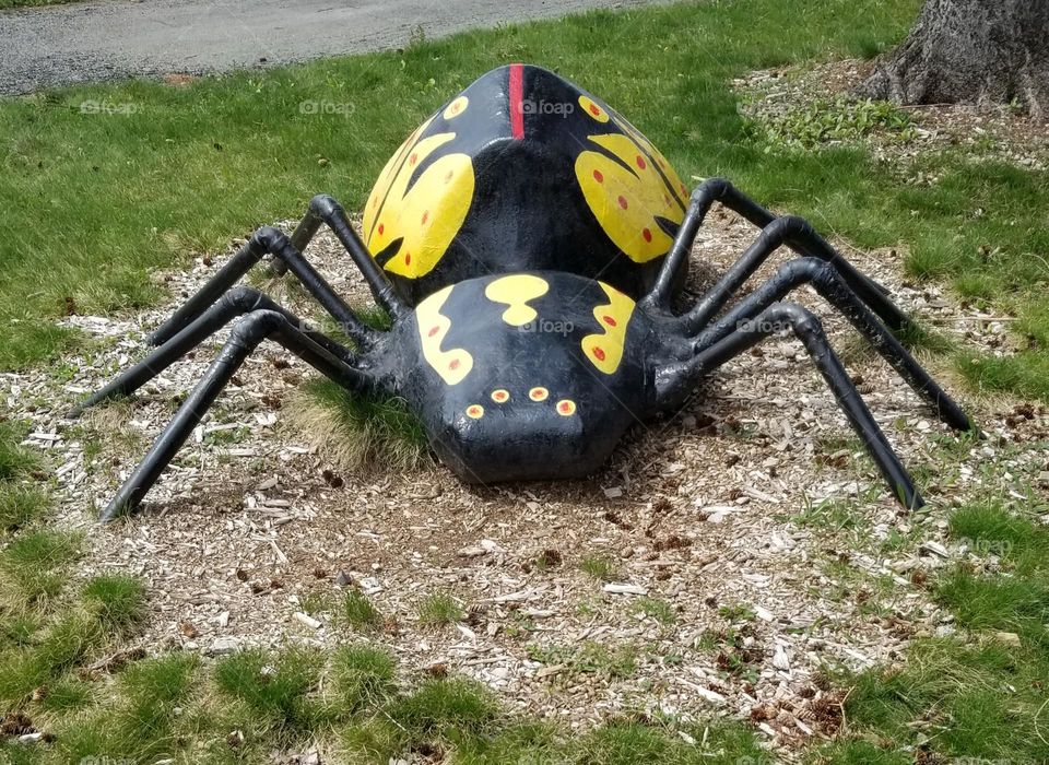 Gigantic Colorful Spider