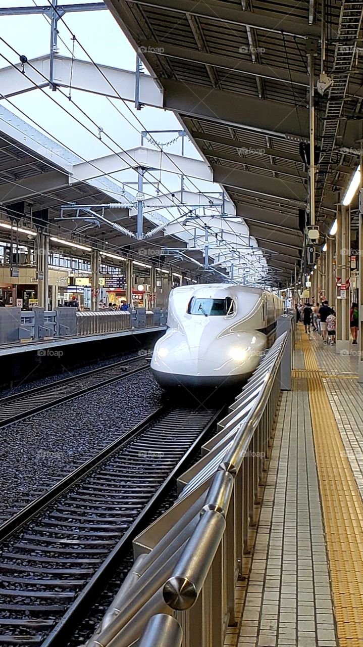 Riding the shinkasen for work ... and play.