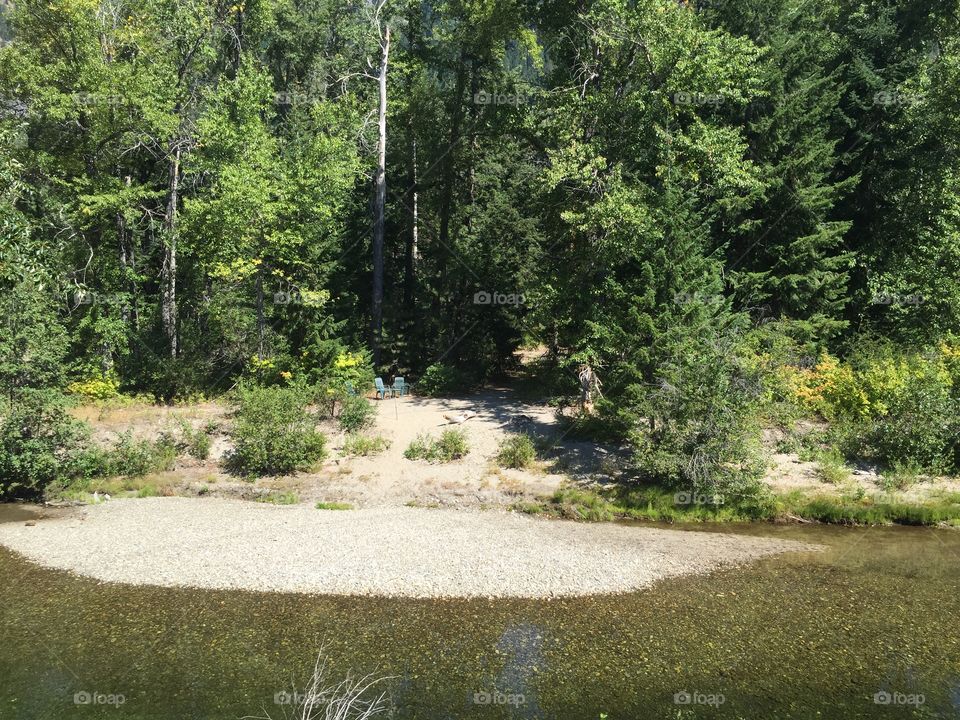 Nature, Landscape, Wood, Tree, No Person