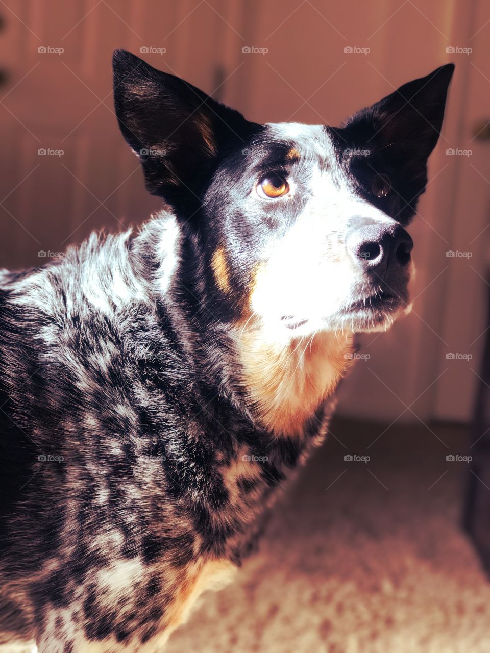 Focused on the future