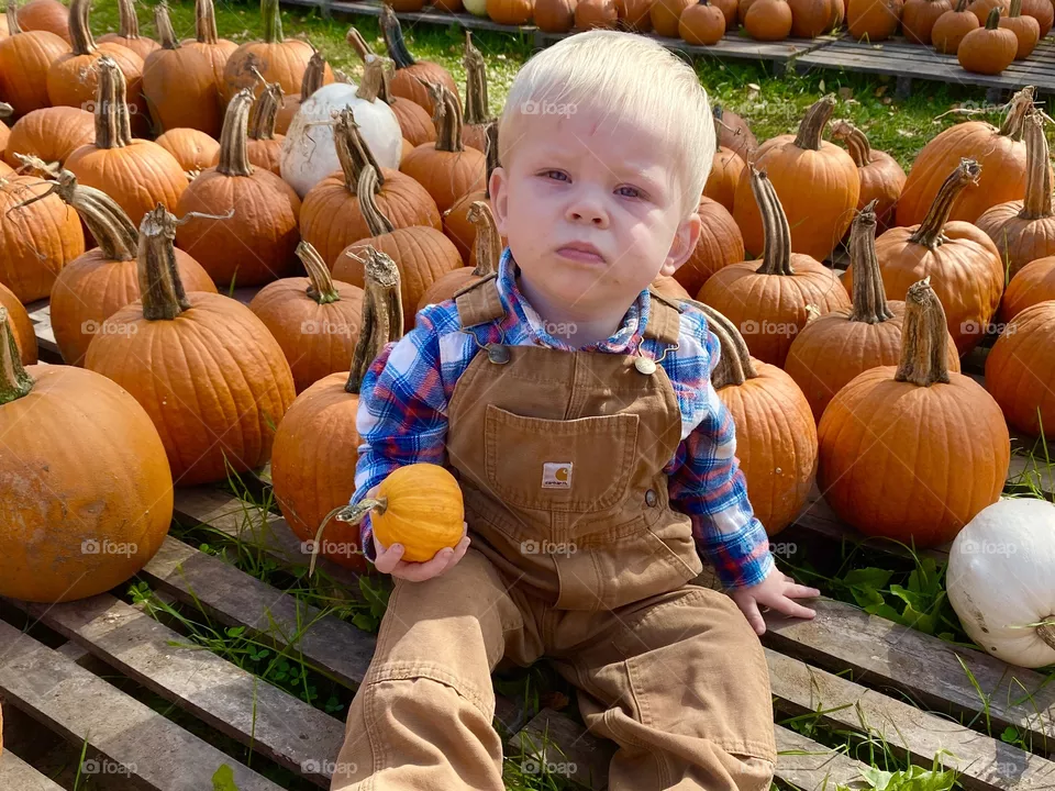 Pumpkin 