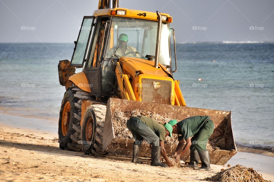 cleaning of the beach