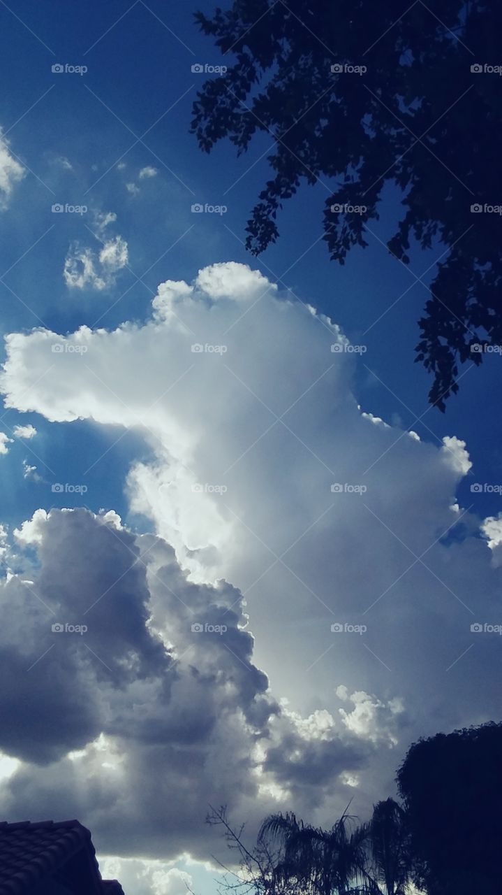 Monsoon clouds gave this amazing 
Form ... of a standing Hippo or Crocadile
Known in Bible as a Levathon. a creature 
Of a big mass form.. this one brought a 
Thunderstorm .. but not to bad of one.
Clouds take on some really cool forms.