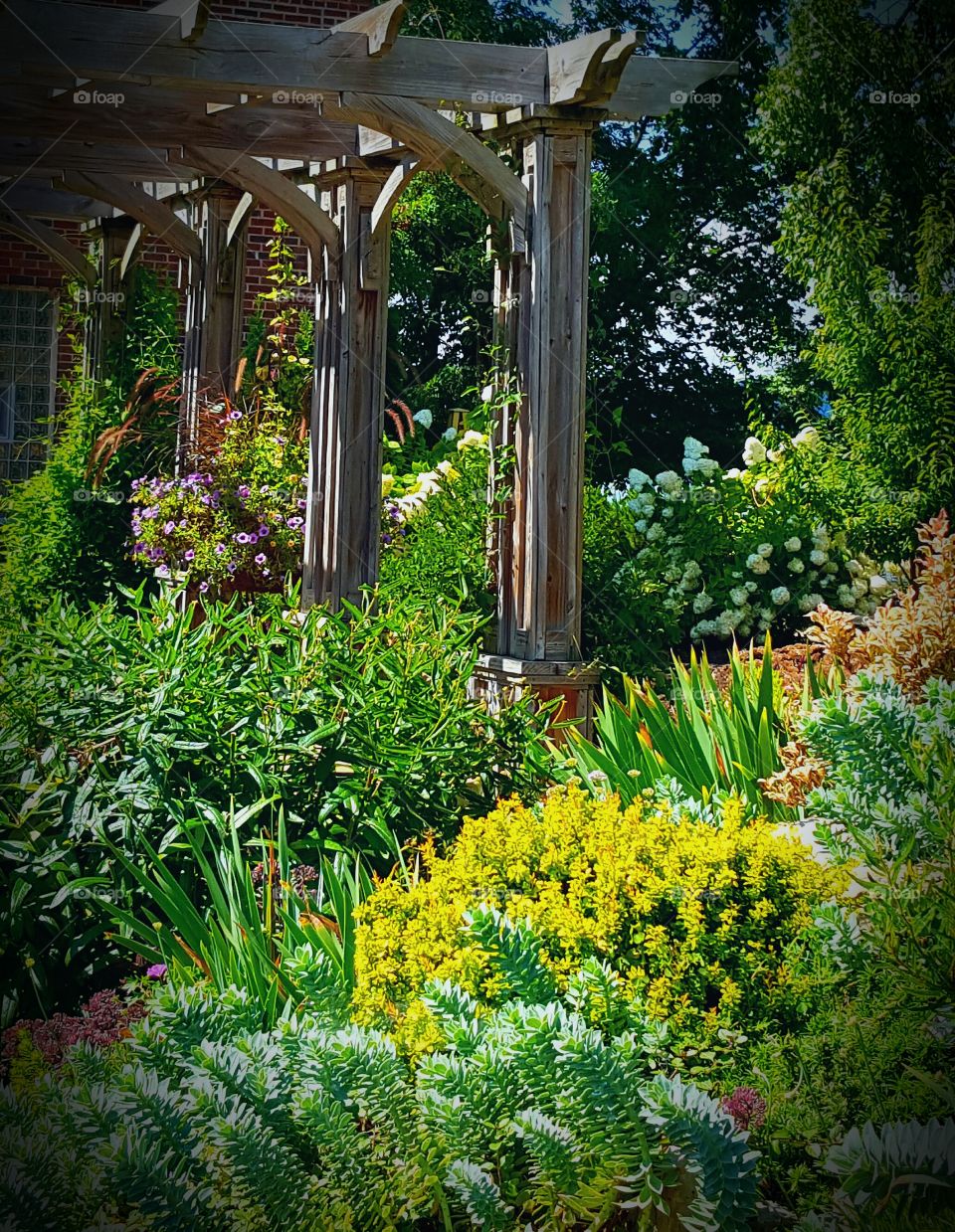 Wood Arbor in Gardens
