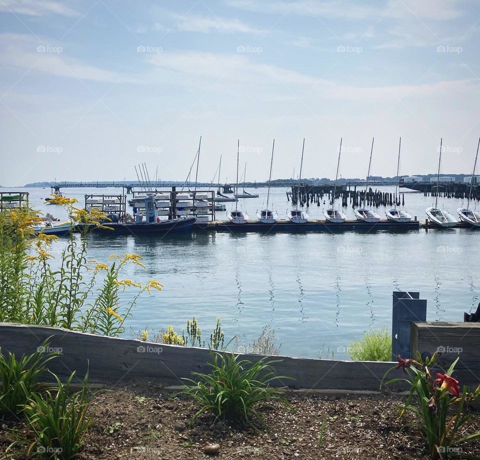 A peaceful waterfront 