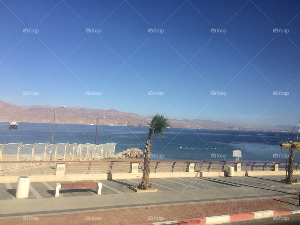 Wind Blowing across the Red Sea