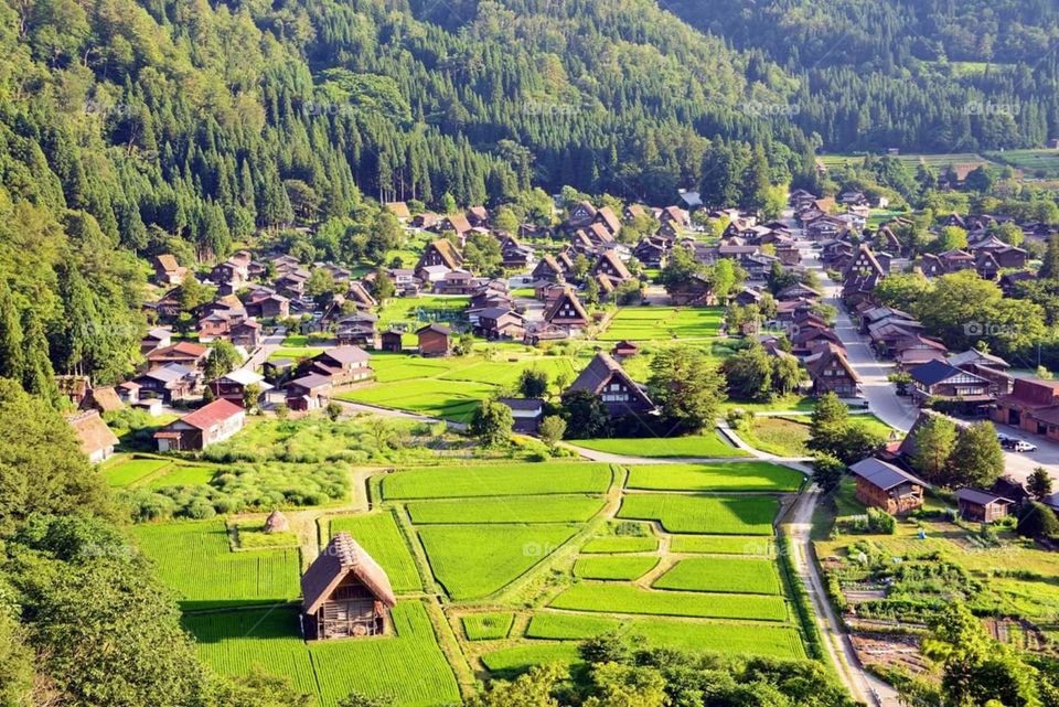 The Village in Japan.