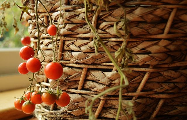 Home grown tomatoes 