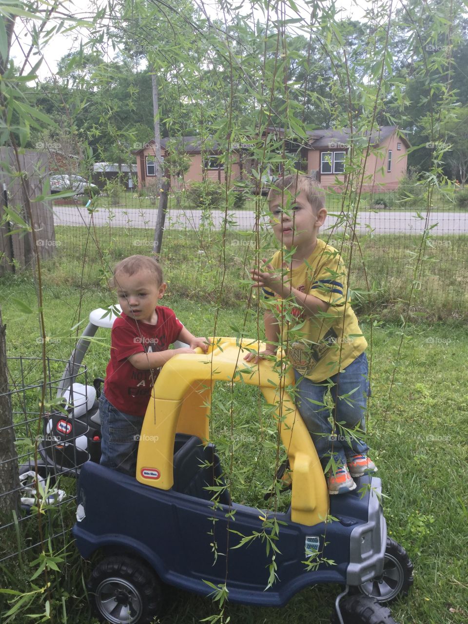 Boys are playing on there plastic car in our willow tree.
