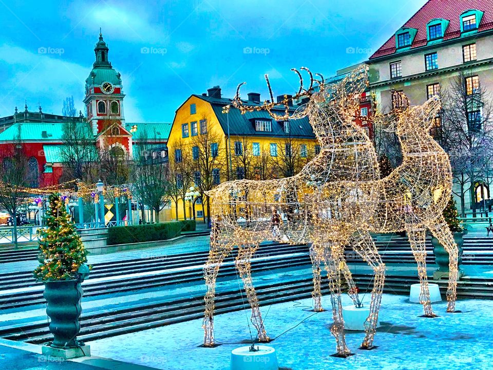 Two reindeers in lights