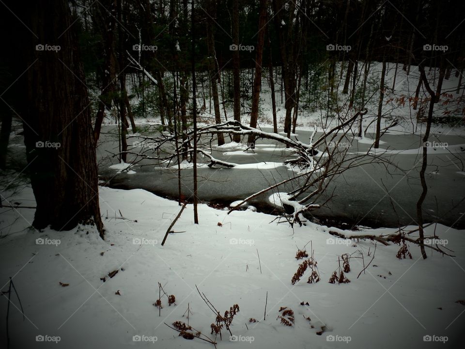 Northern Michigan 