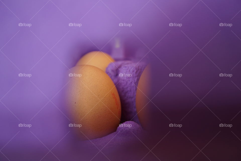 Peeping through a purple egg box