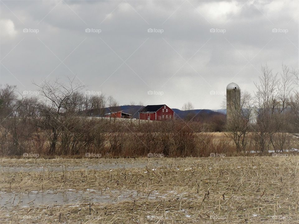 farm silo
