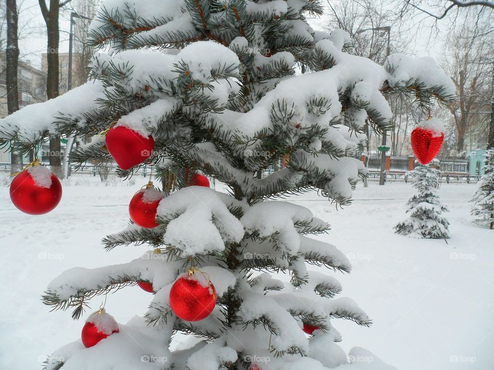 dressed Christmas tree toys in the park, Kiev