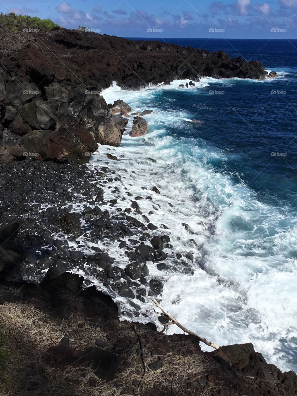 On the seacliffs