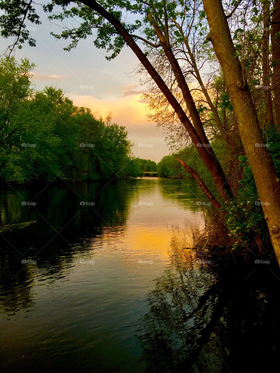 Sunset on river 