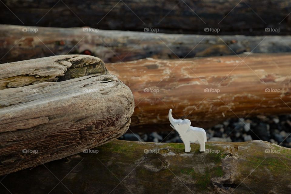 Fantastic👣👣爱上你🍂