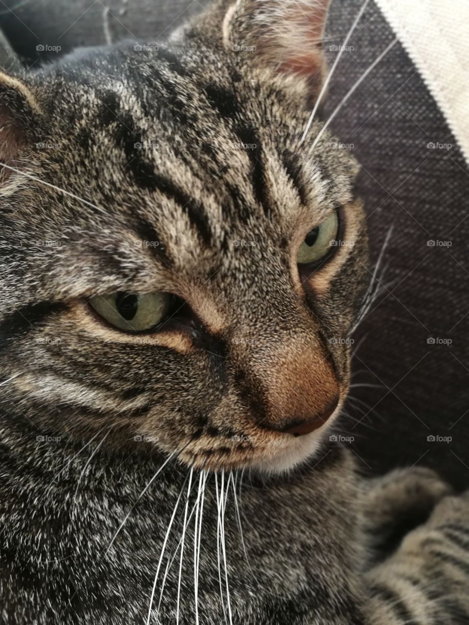 And how may I help you today Watson?