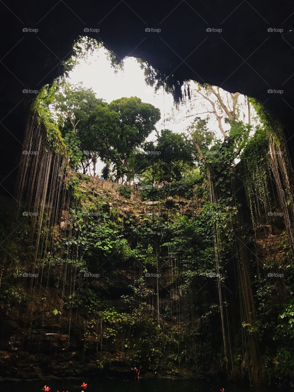 Cenote in Mexico with amazing vegetation