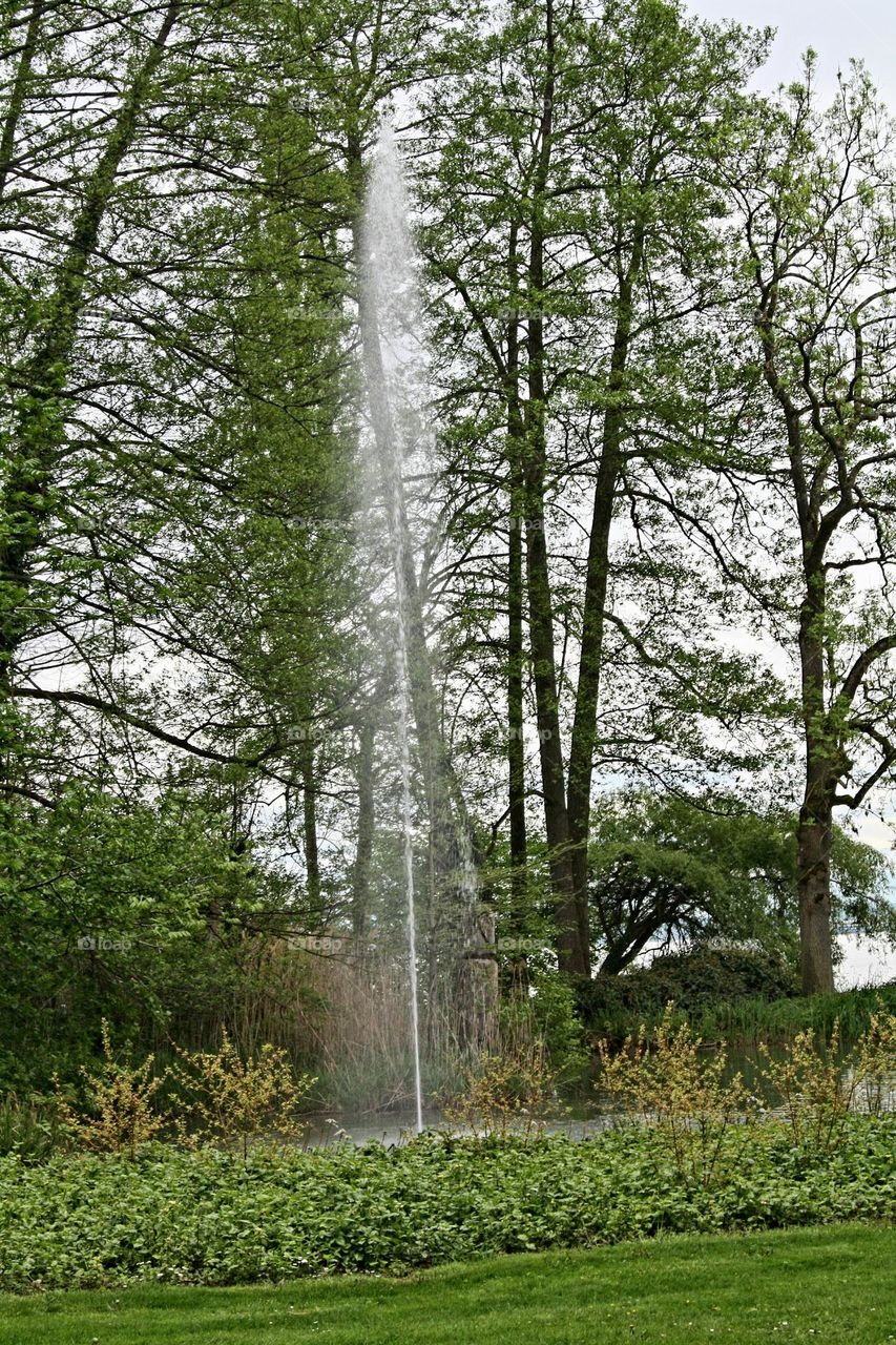 fountain in the park