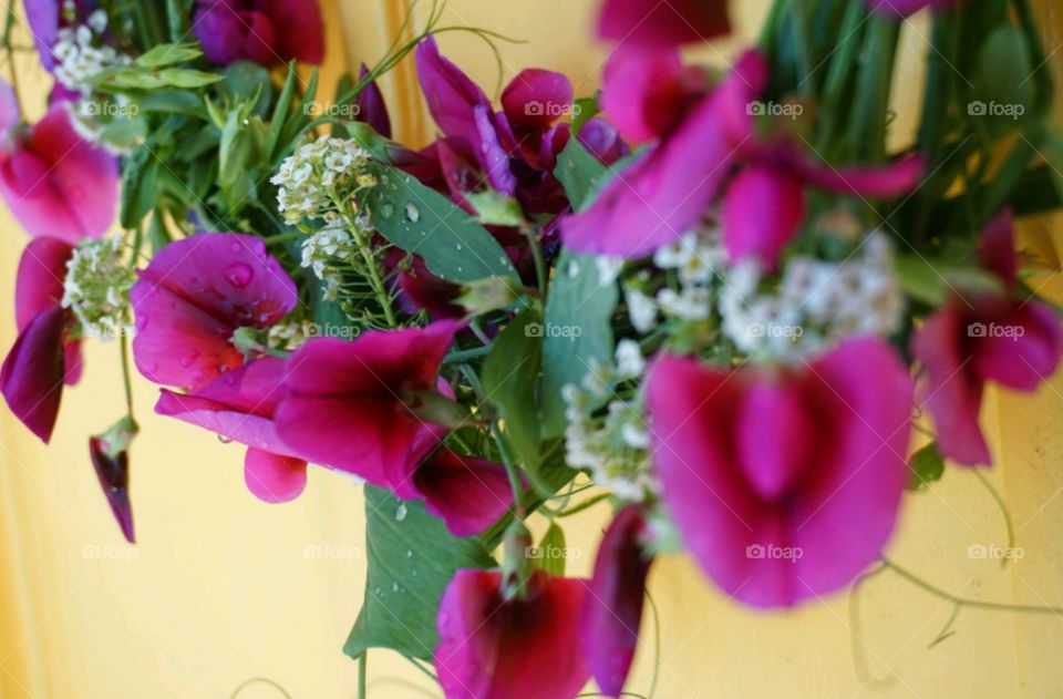 Flower crown - snowpea flower with snow white flowers