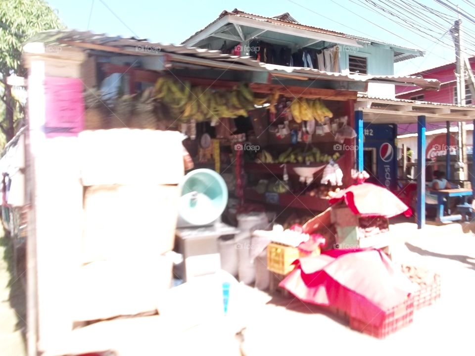 Photo from moving car traveling in Roatan, Honduras