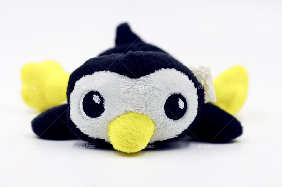 Penguin Plush Toy