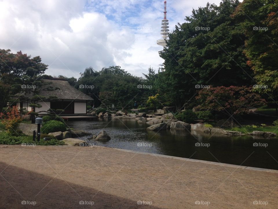 Japanese garden