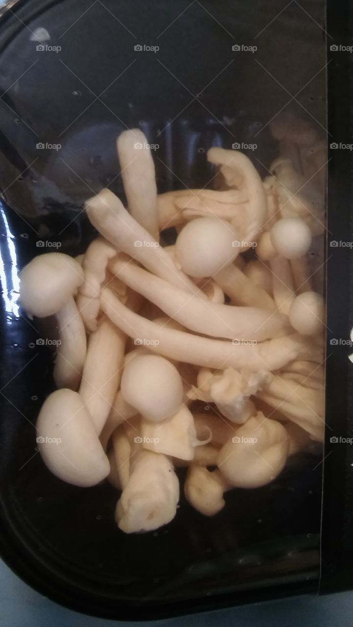 Asian Mushrooms