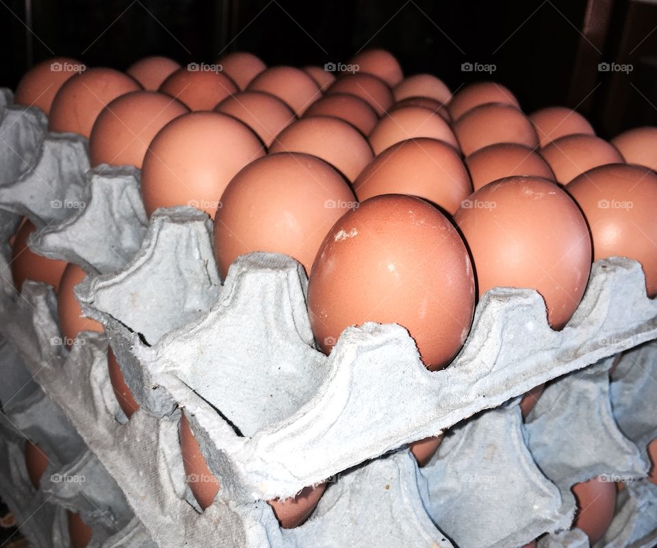 Eggs and eggs 