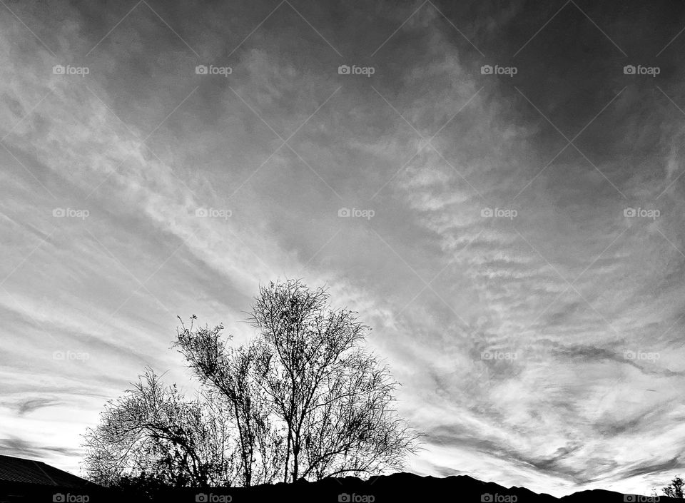 A black and white photo of a tree with mountains and a cloudy sky in the distance. 