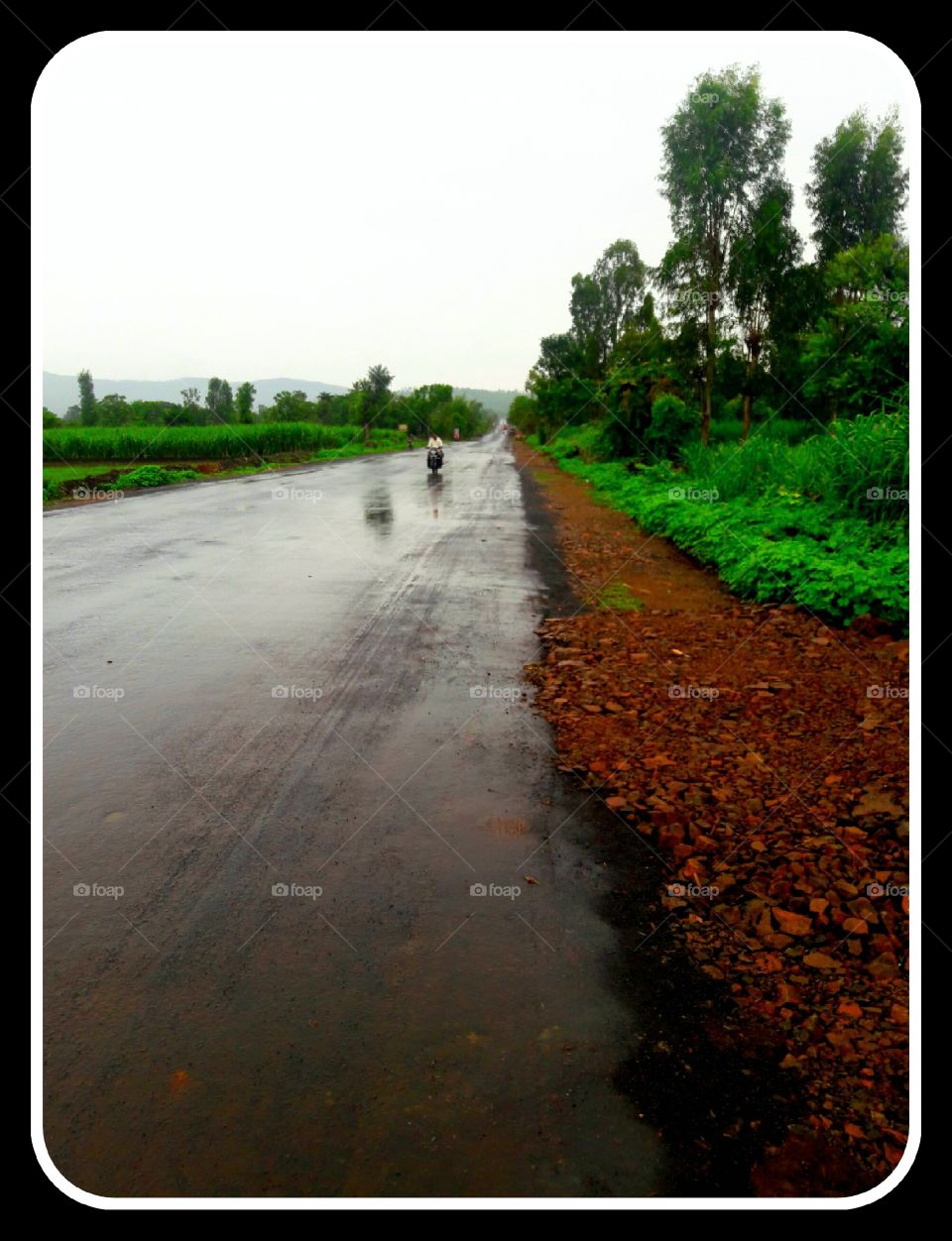 Road in rainy season