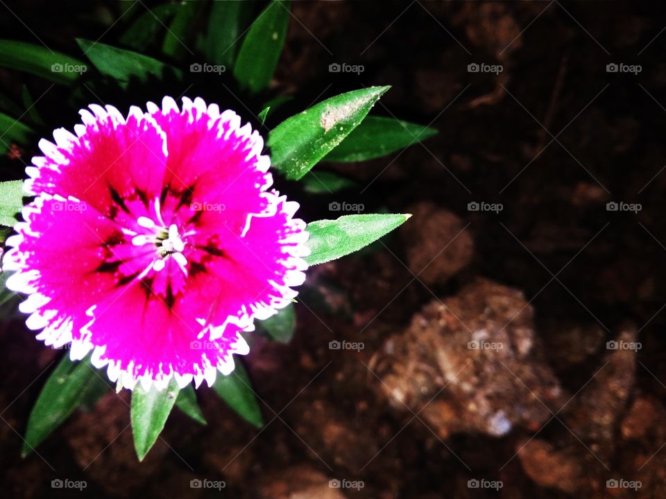 Nature says.. learn to hear