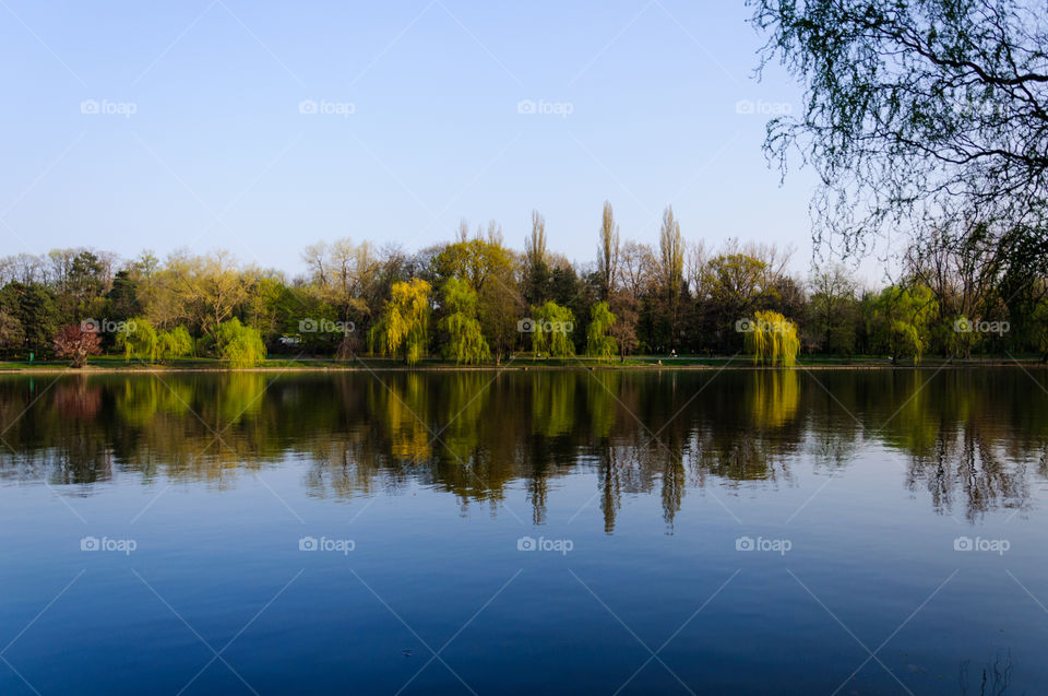 Lake reflection